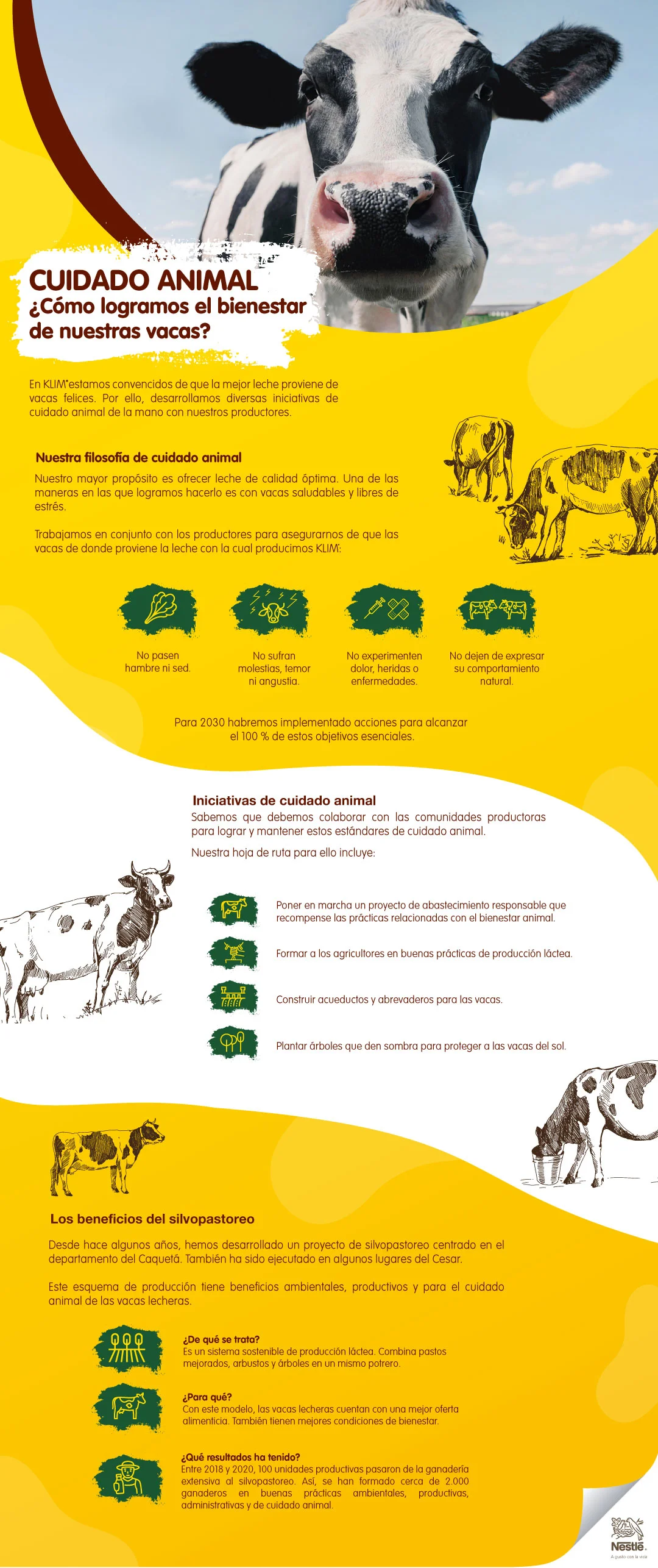 infografia cuidado animal