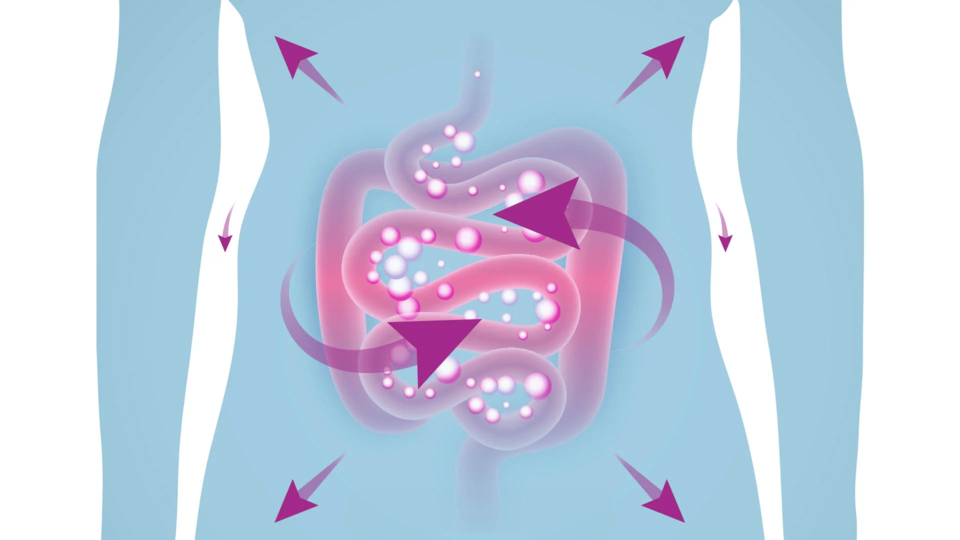 ilustracion de cuerpo con sistema digestivo