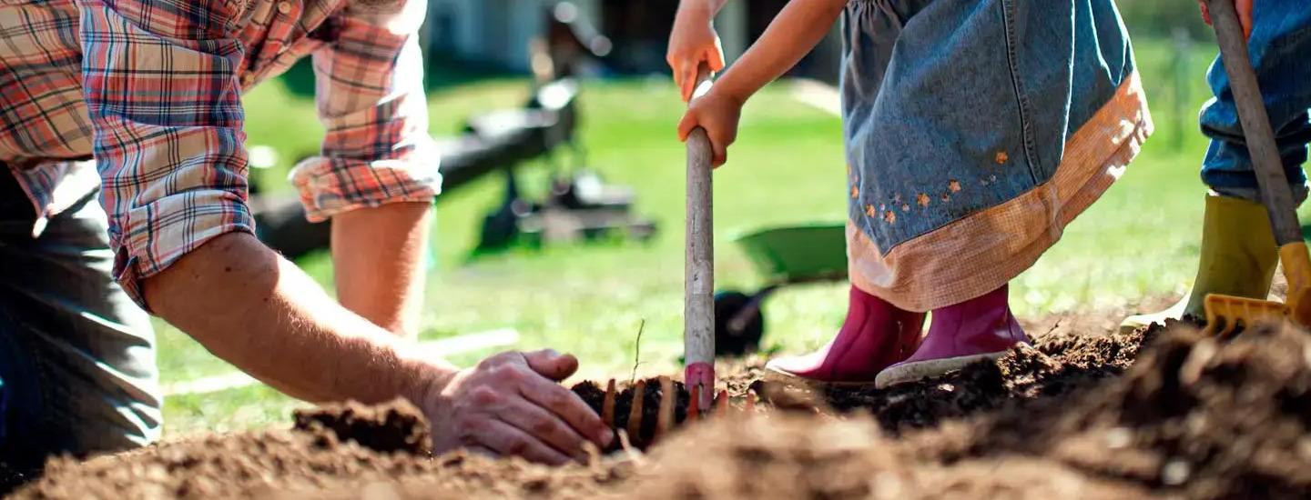 Los alimentos orgánicos y los beneficios que tienen para tus hijos