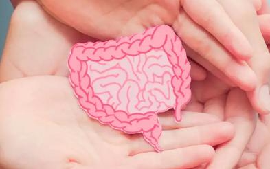 Prebióticos: ¿Qué son? ¿Qué función tienen? ¿Dónde están presentes?