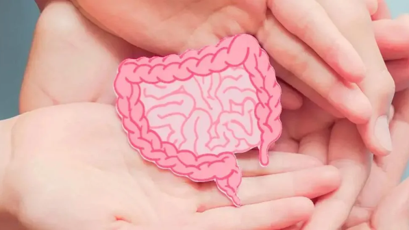 manos con intestinos de papel