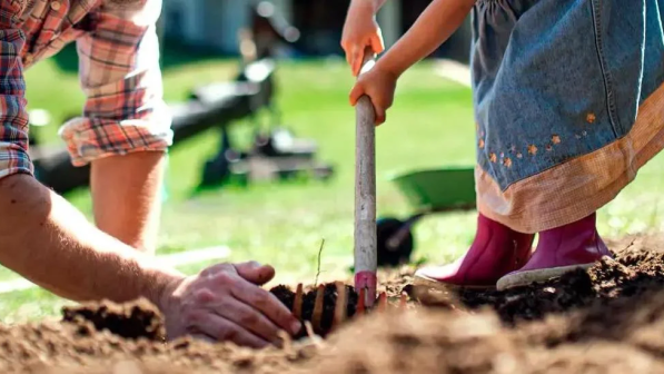 que son los alimentos organicos